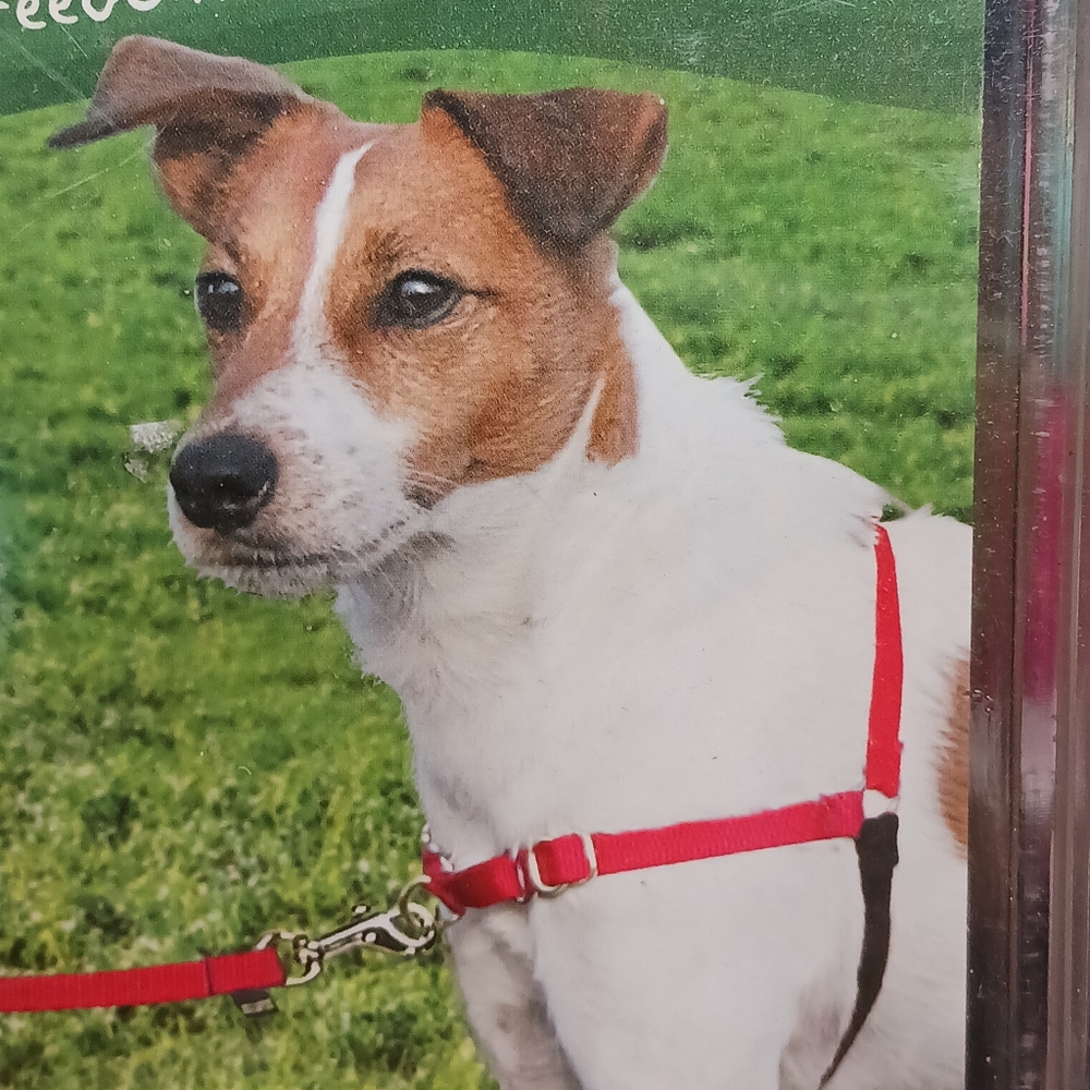 NWT!! Petsafe Easy Walk Dog Harness Sz Small - Picture 2 of 8